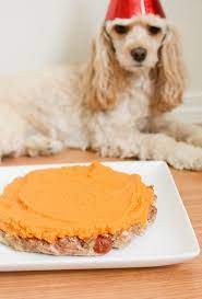 Birthday Cake For Dogs Recipe Sweet Potatoes For Dogs Dog Birthday Cake Dog Cakes