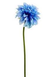 That means if you type in your order delivery day for wholesale flowers and supplies ships all supplies separate from fresh flowers, according to the service you choose. Discount Silk Flowers Cheap Flowers Wholesale Flowers At Afloral Discount Silk Flowers Blue Dahlia Silk Flowers Wedding