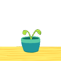 Maybe you would like to learn more about one of these? Money Tree Gifs Tenor