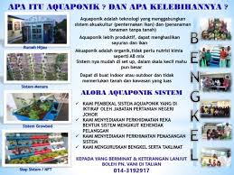 Rumah hijau akan memerangkap haba daripada cahaya matahari untuk mengekalkan suhu di dalamnya. Alora Aquaponik Call Us For Further Information Facebook