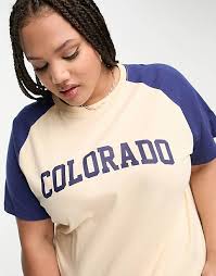 Daisy Street Plus relaxed raglan T-shirt with embroidered Colorado graphic