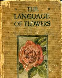 As they say love conquers all. When Did You Last Receive Of Bouquet Of Flowers From An Admirer Recently I Hope But Did You Take A Really Close Lo Flower Quotes Language Of Flowers Flowers