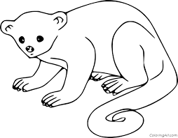 Signup for free weekly drawing tutorials. Cute Kinkajou Coloring Page Coloringall