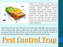 Welcome to our do it yourself pest control coupons page, explore the latest verified doyourownpestcontrol.com discounts and promos for january 2021. Pest Control Trap Pages 1 5 Flip Pdf Download Fliphtml5