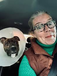 Happy New Year from Sir Paco and Sir Puma 🐶🐶 My 1 year (Puma) is  shredding a lot. Any recommendations other than constant brushing 😞