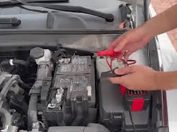 Cargador de Baterías Portátil 12V