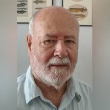 Image result for Gouania tiliifolia