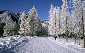 His loyal dog was vlad the impaler. West Yellowstone Winter West Yellowstone Yellowstone Winter Thanksgiving Travel