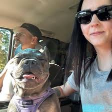 Ceramic coating for motorcycle parts. Recommendations?