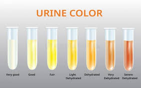 My Sisters House Always Smells Wonderful And Fresh And People Can T Understand Why Here S Her Secret Urinal Frequent Urination Types Of Bacterial Infection