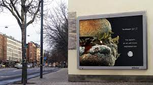 The Moldy Whopper Burger King Our Work Ogilvy