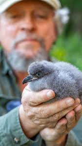 For the past 17 years, Nonsuch Expeditions has supported and showcased the  Department of Environment and Natural Resources (DENR) conservation efforts 