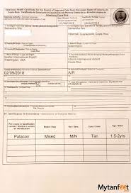 Now a mexican agriculture department official (senasica) is supposed to examine your pet and pronounce him/her healthy enough bringing pet birds into mexico. Guide To Bringing Dog To Costa Rica From Usa And Vice Versa
