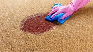 how to remove vomit sns from carpet
