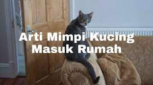 Check spelling or type a new query. Arti Mimpi Kucing Masuk Rumah Menurut Islam Primbon Dan Psikologi Youtube
