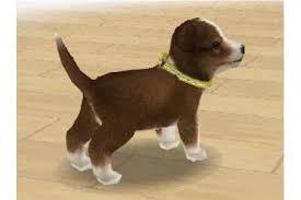 What can you do with trainer points. Nintendogs Labrador And Friends Neoseeker