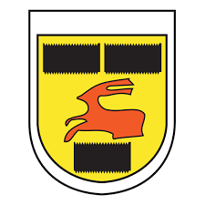 Did you scroll all this way to get facts about camera logo png? Leeuwarden Cambuur Logo Download Logo Icon Png Svg