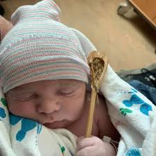 4 Leaf Lacrosse New England