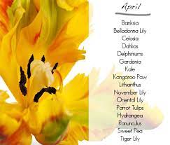 Spring weddings mean endless options when it comes to flowers—it is bloom season, after all. Pin On Seasonal Flowers By Month