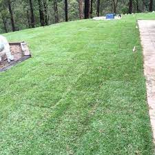 Recent Project Turf Site Preparation Sunshine Coast