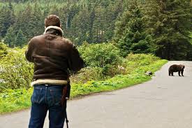 Bei dieser naturreise begibst du dich auf beobachtungstour in kanadas wildes. Kanada Spezialist Sk Touristik Wilde Tiere Exkurs
