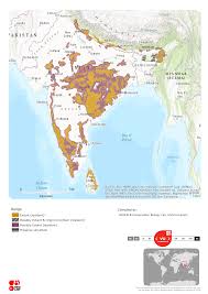 Sloth Bear Bear Conservation