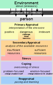 Lazarus cognitive mediational theory of emotion explained. Richard Lazarus Wikipedia