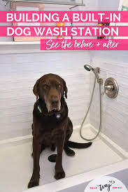Built In Dog Wash Renovation Reveal Wear Wag Repeat In 2020 Dog Washing Station Dog Wash The Perfect Dog