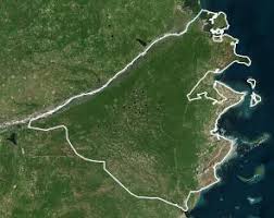 Image result for Acacia quiterajoensis