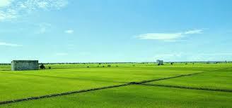 The alluring shikara or the wooden boats that float on the beautiful waters impart a view of the circumference of the lake famous for its kashmiri apples, one cannot skip visiting an apple orchard. Top 10 Places To Visit In Selangor C Letsgoholiday My