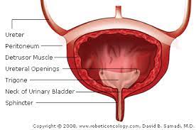 Sometimes, people with bladder cancer do not have any of these changes. Bladder Cancer Symptoms And Causes How To Choose Best Treatment