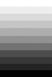 Alignment, balance, repetition, proximity, contrast, and space. The Graphic Design Principles And Elements Every Maker Should Know