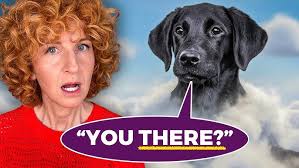 Oprah's dog trainer offers surprising advice for pet owners