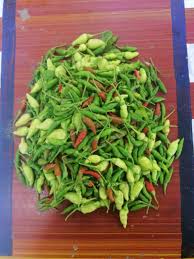 *all local ready stock* package include: Cili Padi Kampung Cilipadi Kebun Komuniti Usj14 Facebook