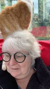 I had a wee red balloon” mammy bear #janeygodleyvoiceover