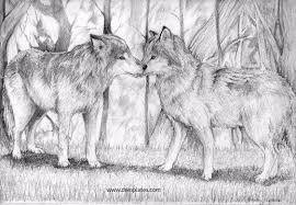 Wolf Love Drawings 30 Galvanizing Images To Help You Draw Demplates Collection by molly wood • last updated 9 weeks ago. wolf love drawings 30 galvanizing