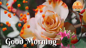 We did not find results for: Good Morning Video Shubham Video Animations Youtube