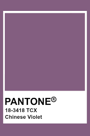 pantone chinese violet colour palettes purple color 021c cmyk