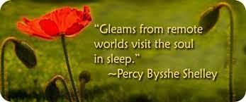 Pin On Sweet Dreams