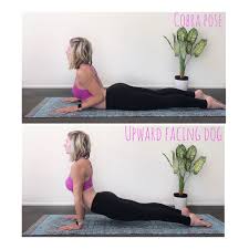 Cobra Pose Vs Upward Facing Dog Cobra Pose Upward Facing Dog Yoga Tips