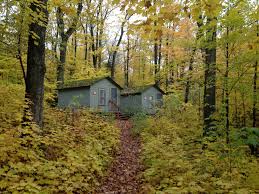 Home Sweet Forest Forest Camp House Styles Mishawaka