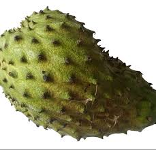 Image result for Annona muricata