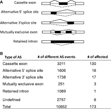 Splicing Factor Srsf10 Is Known To Function As A Sequence Specific Splicing Activator Here Researchers At Th Chinese Academy Of Sciences Analysis Alternative