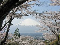 Possible Tour For Honeymoon Japan Japan Honeymoon Japan Holidays Honeymoon