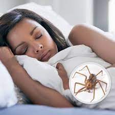 Near you 20+ pest control companies near you. Wil Kil Pest Control Pest Control W140 N5910 Lilly Rd Menomonee Falls Wi Phone Number