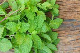 10 Remedios Naturales Para Evitar Mareos Y Nauseas Mejor Con Salud