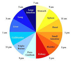 chi cycle chart circadian rhythm time table original source