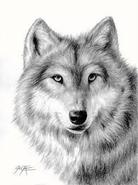 Free for commercial use no attribution required high quality images. This Item Is Unavailable Etsy Pencil Drawings Wolf Drawing Animal Drawings