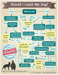 5 Reasons Your Dog Should Be On A Leash Demo36196