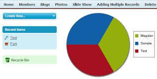 infallible techie pie chart using apex in salesforce